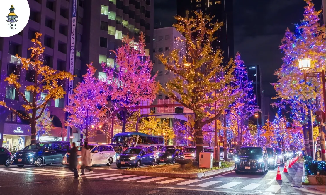 แสงไฟประดับหลากสีสันบนต้นไม้ริมถนนมิโดซุจิในช่วงเทศกาลฤดูหนาว
