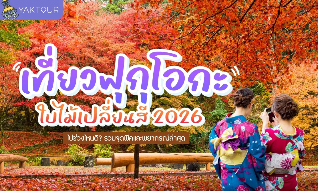 เที่ยวฟุกุโอกะ ใบไม้เปลี่ยนสี 2026 ไปช่วงไหนดี? รวมจุดพีคและพยากรณ์ล่าสุด