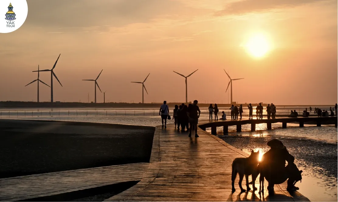 พื้นที่ชุ่มน้ำเกาเหม่ย Gaomei Wetland ทางเดินไม้ทอดยาวชมวิวพระอาทิตย์ตกดินและกังหันลมริมชายฝั่ง