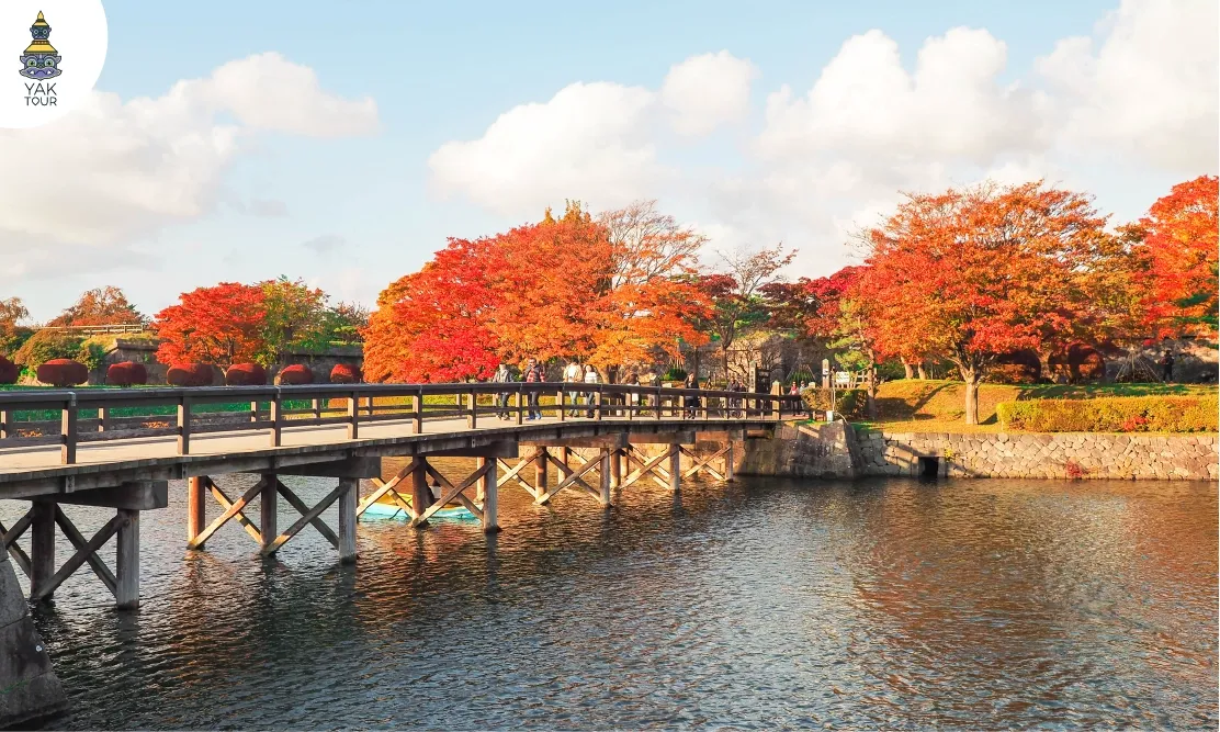 สะพานข้ามคูเมืองและต้นไม้เปลี่ยนสีที่ป้อมโกเรียวคาคุ ฮาโกดาเตะ