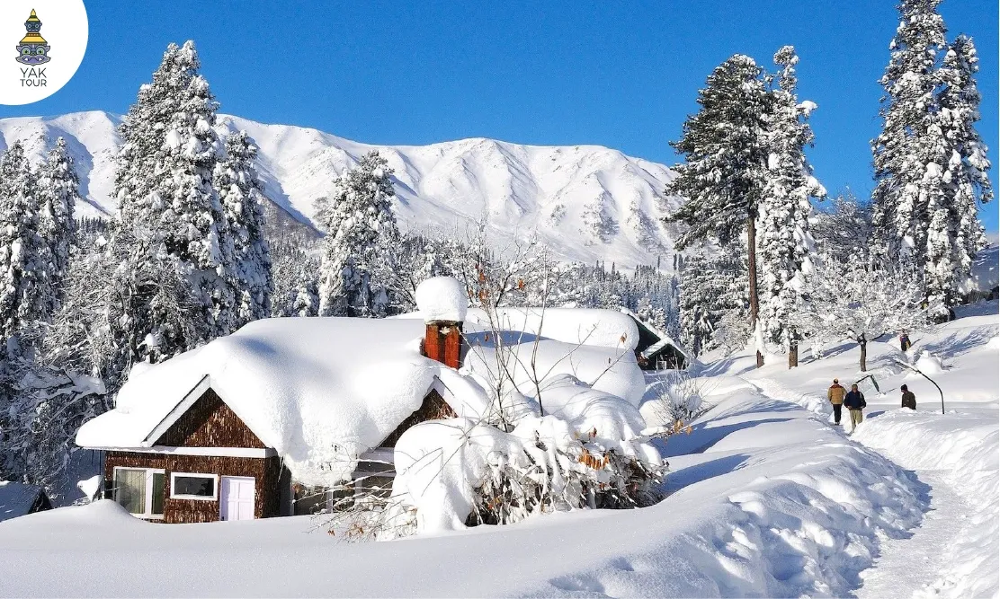 วิวบ้านไม้กลางหิมะและป่าสนที่กุลมาร์ค-Gulmarg