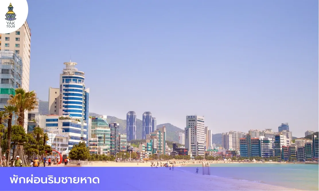 ทิวทัศน์ตึกสูงระฟ้าและโรงแรมหรูริมหาดแฮอุนแดเมืองปูซานในวันฟ้าเปิดช่วงฤดูใบไม้ร่วง