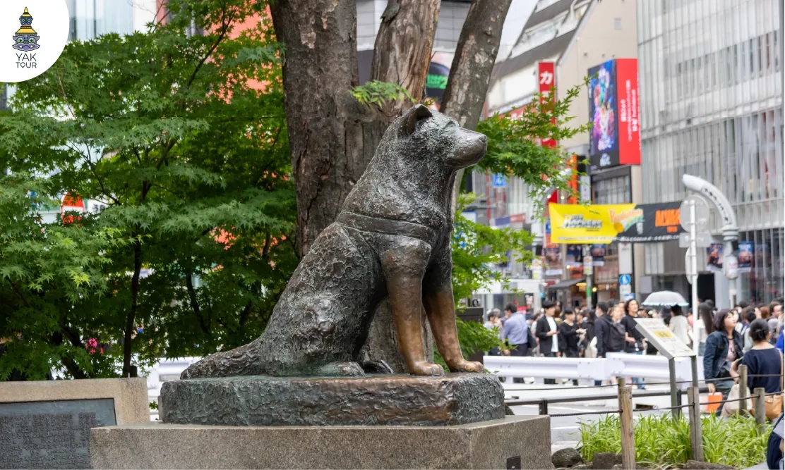 อนุสาวรีย์สุนัขฮาจิโกะ (Hachiko Memorial Statue) ที่ตั้งโดดเด่นอยู่หน้าสถานีรถไฟ