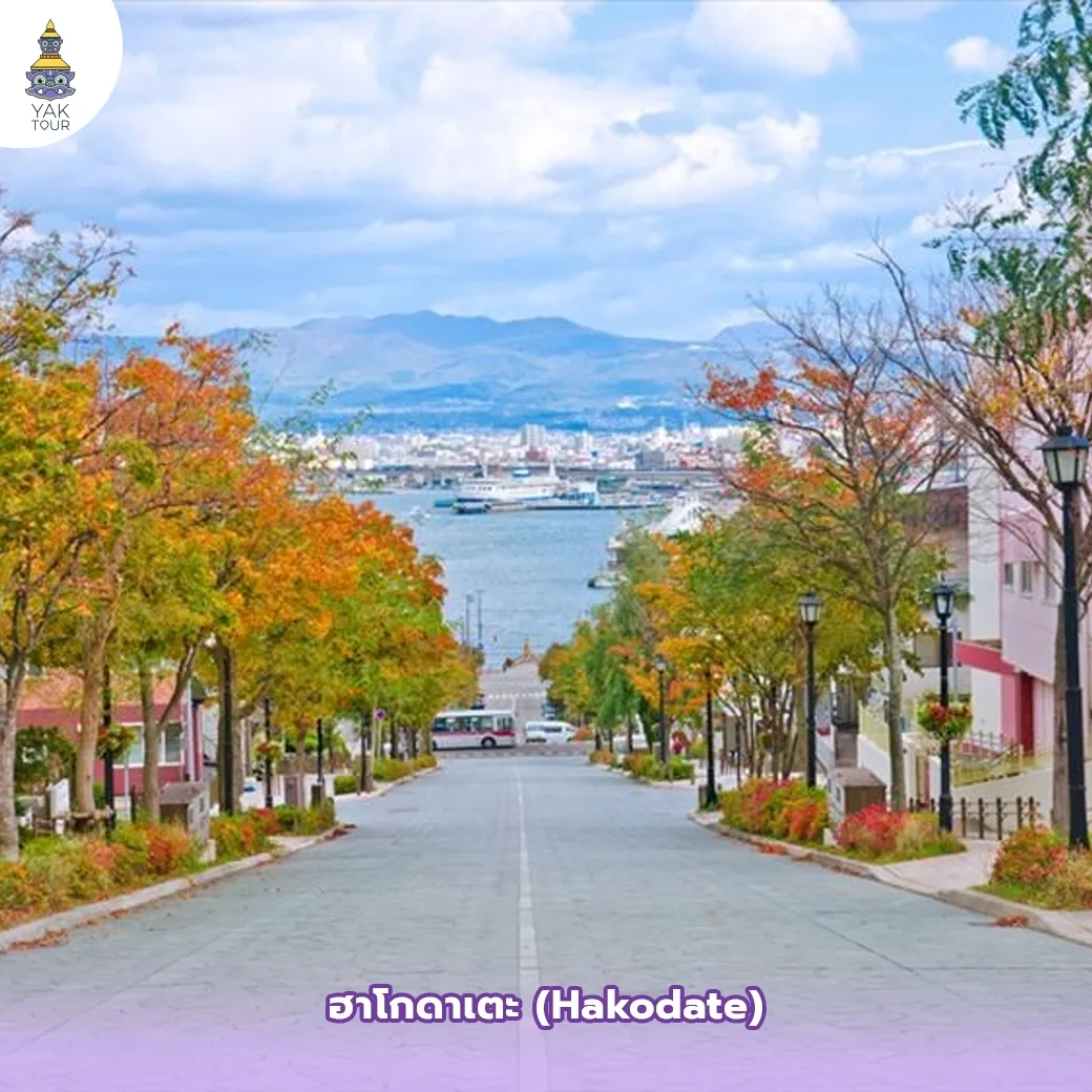 วิวถนน Hachimanzaka ที่ทอดตัวลงสู่ท่าเรือในเมืองฮาโกดาเตะ Hakodate