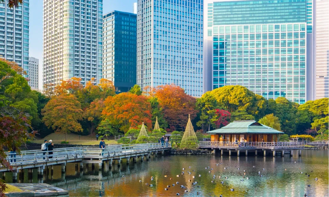 โรงน้ำชาไม้โบราณกลางบ่อน้ำที่มีฉากหลังเป็นตึกระฟ้าย่านชิโอโดเมะ