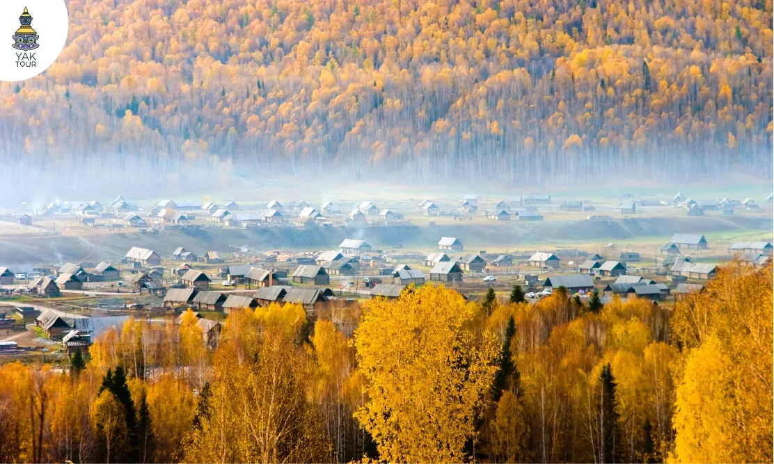 หมู่บ้านเหอมู่ บรรยากาศบ้านไม้โบราณท่ามกลางป่าเบิร์ชสีเหลืองทองและสายหมอกยามเช้า
