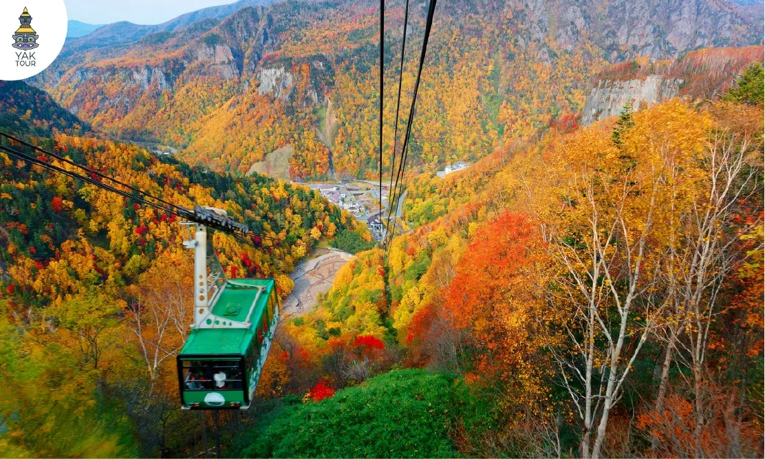 มุมมองจากกระเช้าลอยฟ้า Kurodake Ropeway ชมทัศนียภาพใบไม้เปลี่ยนสีหลากสีสันบนอุทยานแห่งชาติ Daisetsuzan ในช่วงฤดูใบไม้ร่วงที่ฮอกไกโด