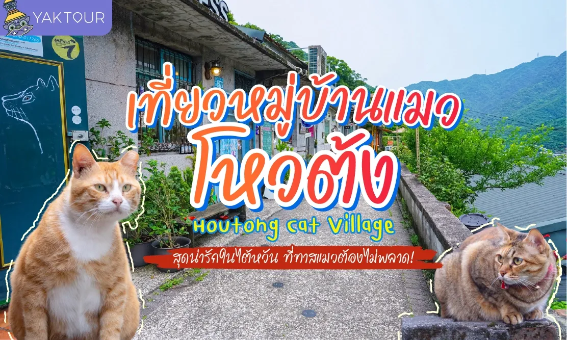 เที่ยวหมู่บ้านแมวโหวต้ง Houtong Cat Village สุดน่ารักในไต้หวัน ที่ทาสแมวต้องไม่พลาด!
