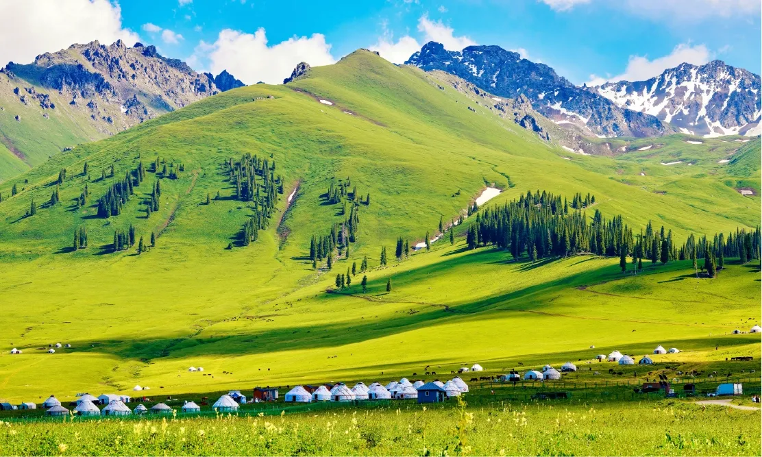 ที่พักกระโจมสีขาวบนทุ่งหญ้ากว้างเขียวขจีในมองโกเลียใน