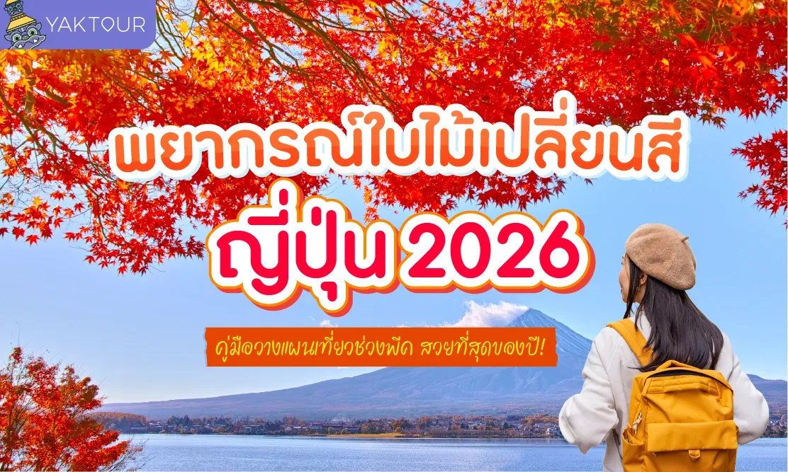 พยากรณ์ใบไม้เปลี่ยนสี ญี่ปุ่น 2026 คู่มือวางแผนเที่ยวช่วงพีค สวยที่สุดของปี!