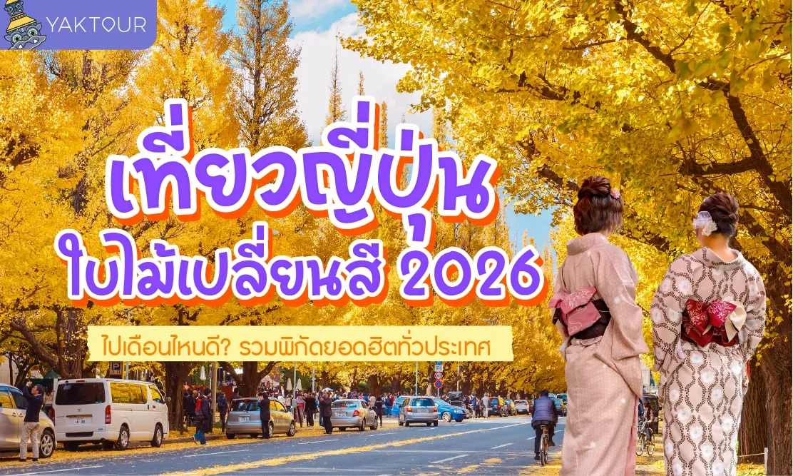เที่ยวญี่ปุ่น ใบไม้เปลี่ยนสี 2026 ไปเดือนไหนดี? รวมพิกัดยอดฮิตทั่วประเทศ