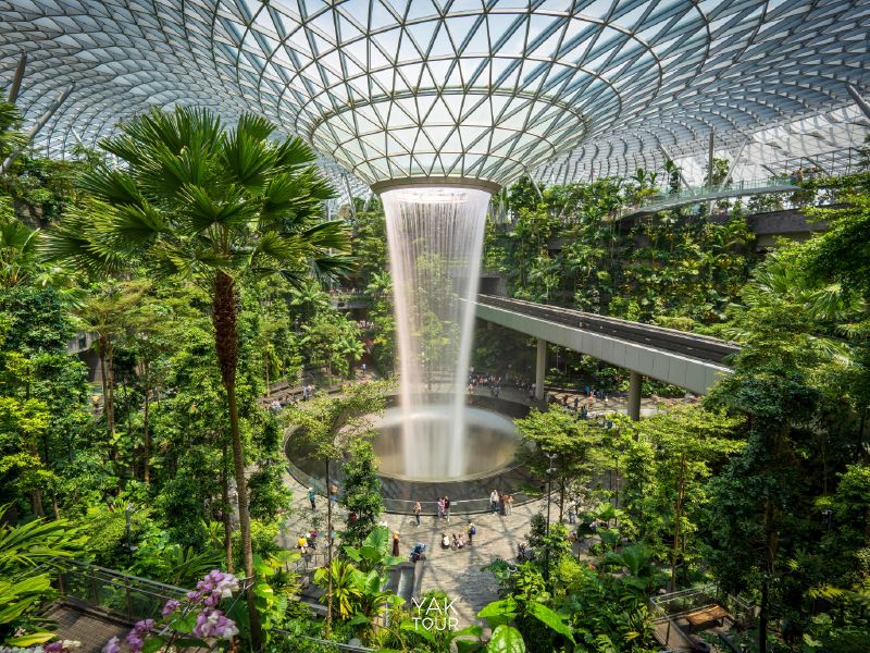 มุมถ่ายรูปน้ำตก Rain Vortex และป่าในร่ม Shiseido Forest Valley ณ Jewel Changi Airport (จีเวล ชางงี แอร์พอร์ต)