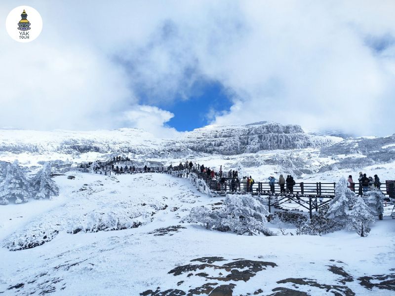บรรยากาศการเดินลัดเลาะบนทางเดินไม้ท่ามกลางภูเขาหิมะสีขาวบริสุทธิ์ที่ภูเขาหิมะเจี้ยวจื่อ พิกัดเที่ยวฤดูหนาวยอดฮิตใกล้เมืองคุนหมิง ยูนนาน