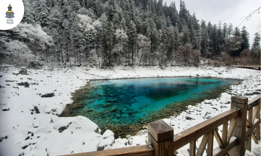 ทะเลสาบสีมรกตตัดกับหิมะสีขาวและป่าสนในฤดูหนาวที่อุทยานแห่งชาติจิ่วจ้ายโกว