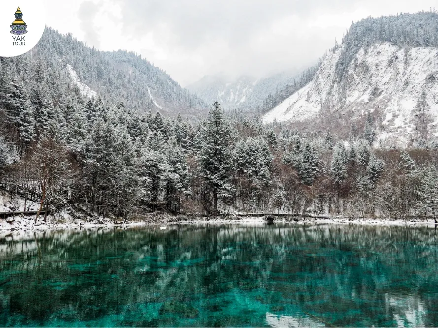 ทะเลสาบสีฟ้ากระจกใสตัดกับป่าสนสีขาวในอุทยานมรดกโลกจิ่วจ้ายโกว