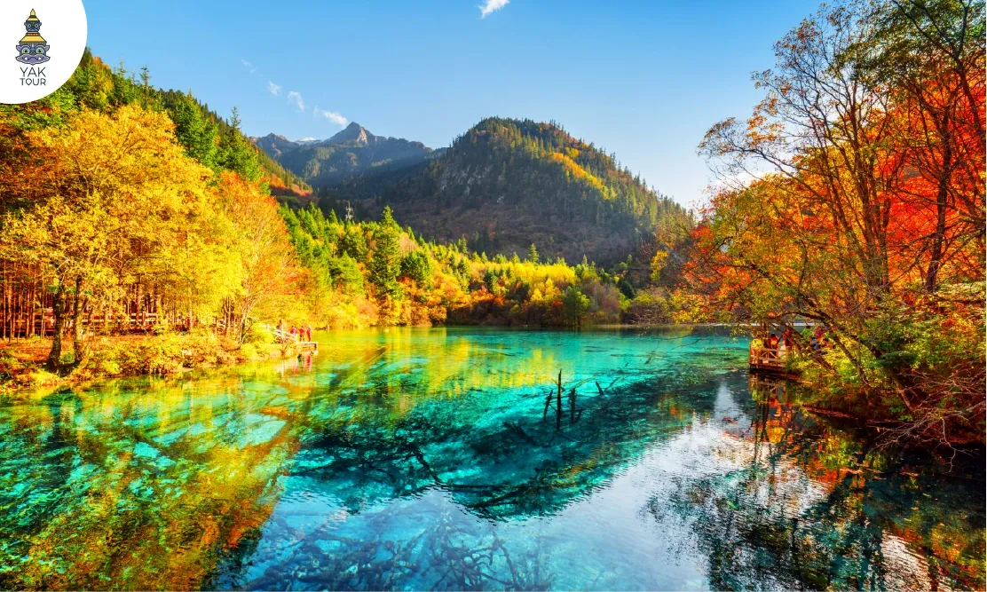 ทะเลสาบสีฟ้าใสและใบไม้เปลี่ยนสีที่อุทยานจิ่วจ้ายโกว ที่เที่ยวจีนธรรมชาติ สวยฟีลยุโรป
