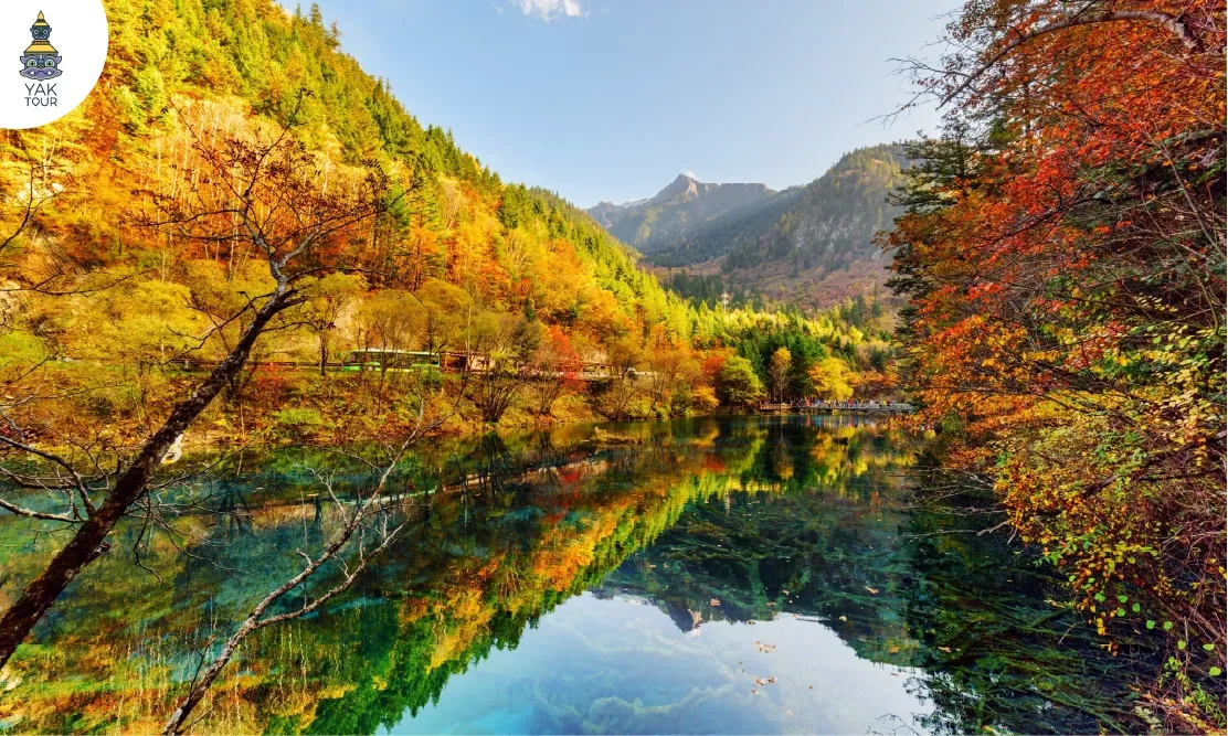 ชมใบไม้เปลี่ยนสี จีน ที่อุทยานจิ่วจ้ายโกว Jiuzhaigou Natural Reserve