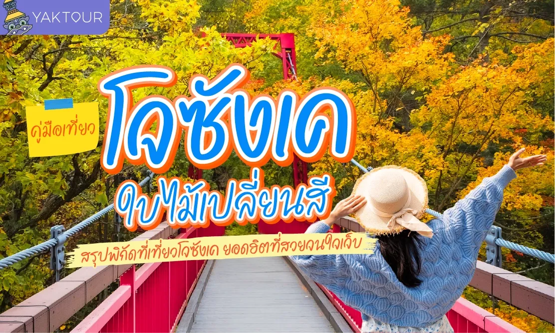 คู่มือเที่ยว โจซังเค ใบไม้เปลี่ยนสี สรุปพิกัดที่เที่ยวโจซังเคยอดฮิตที่สวยจนใจเจ็บ