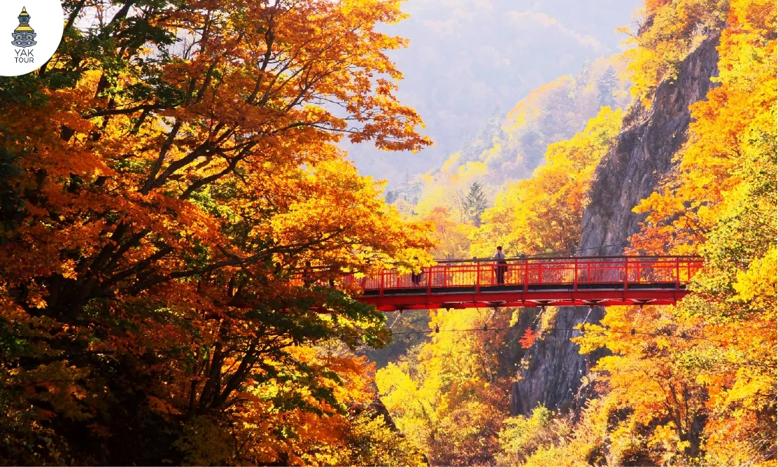 สะพานแดงฟุตามิสึริบาชิที่หมู่บ้านออนเซ็นโจซังเค