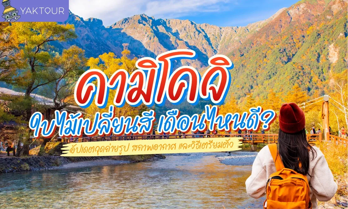 คามิโคจิ ใบไม้เปลี่ยนสี เดือนไหนดี? อัปเดตจุดถ่ายรูป สภาพอากาศ และวิธีเตรียมตัว