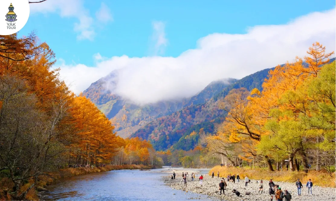 ทิวทัศน์ริมแม่น้ำอาซุสะและแนวต้นไม้สีทองในอุทยานคามิโคจิ
