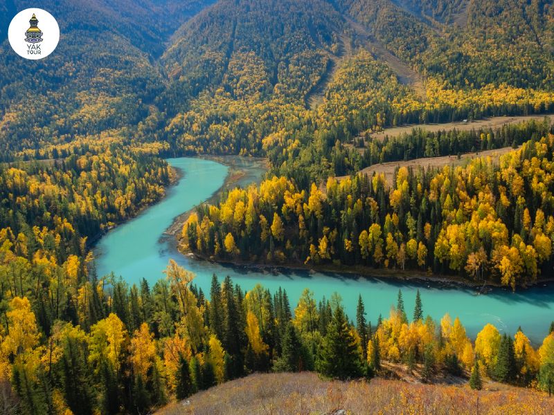 โค้งน้ำรูปพระจันทร์เสี้ยวในอุทยานคานาสือ โอบล้อมด้วยป่าเปลี่ยนสีเป็นสีเหลืองสลับเขียวสะท้อนบรรยากาศดินแดนสวรรค์ในซินเจียง