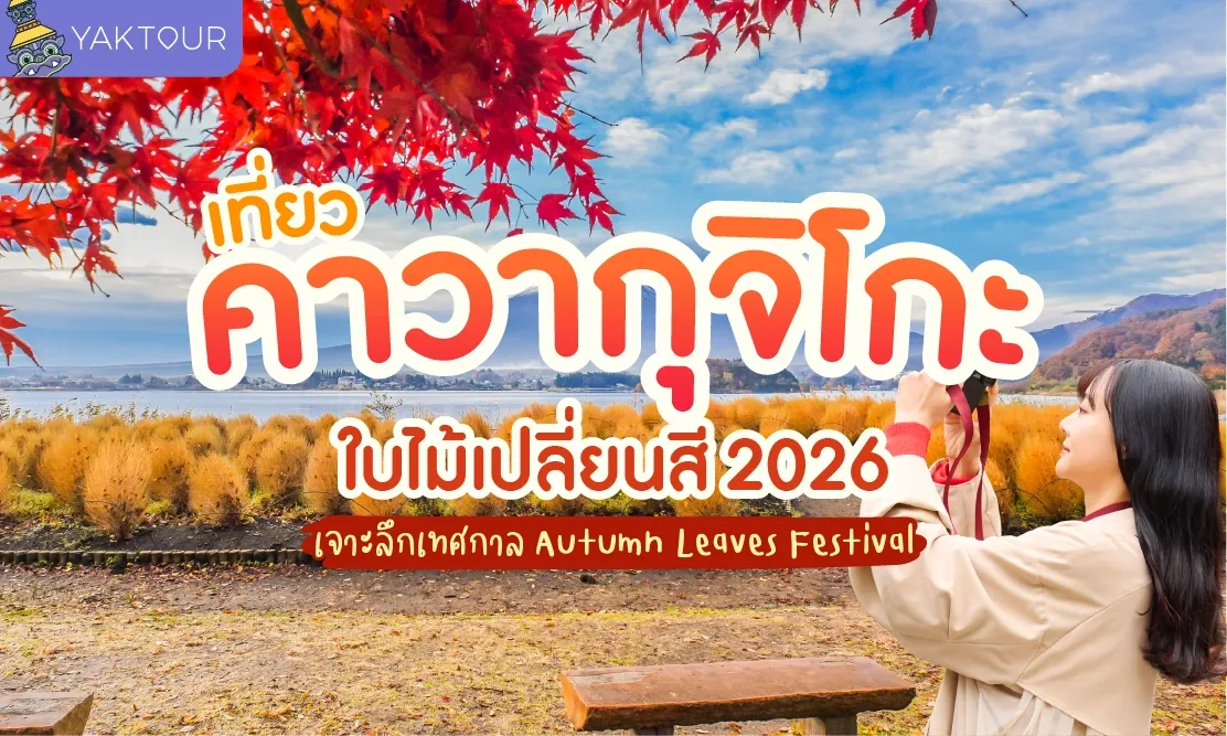 อัปเดตเที่ยว คาวากุจิโกะ ใบไม้เปลี่ยนสี ไฮไลต์เทศกาล Fuji Kawaguchiko Autumn Leaves Festival 2026
