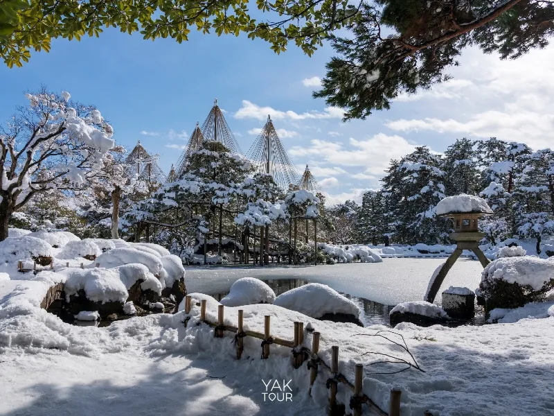 ทัศนียภาพสวนญี่ปุ่นโบราณและการใช้เชือกดึงต้นสน (Yukitsuri) เพื่อป้องกันหิมะที่สวนเค็นโรคุเอ็น