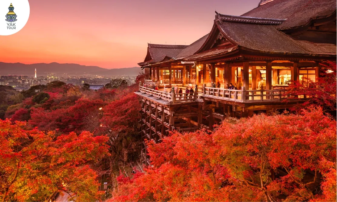 ระเบียงไม้โบราณและใบเมเปิ้ลสีแดงสดที่วัดน้ำใส เกียวโต ช่วงอาทิตย์อัสด