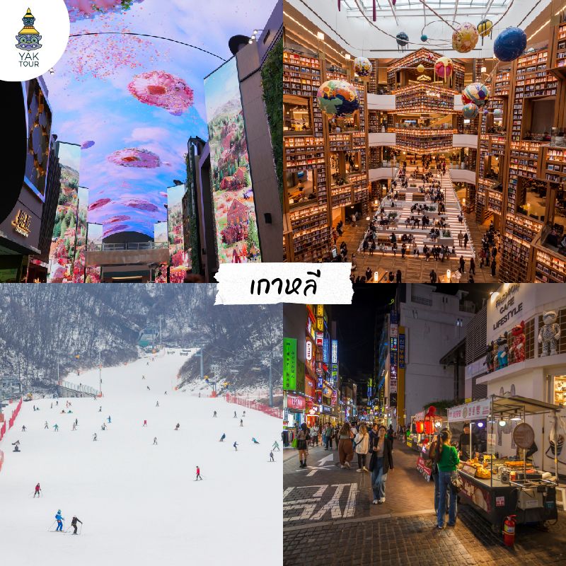 ทริปเกาหลีเช็คอินห้องสมุดสตาร์ฟิลด์ซูวอน สนุกกับลานสกี และช้อปปิ้งย่านเมียงดงยามค่ำคืน