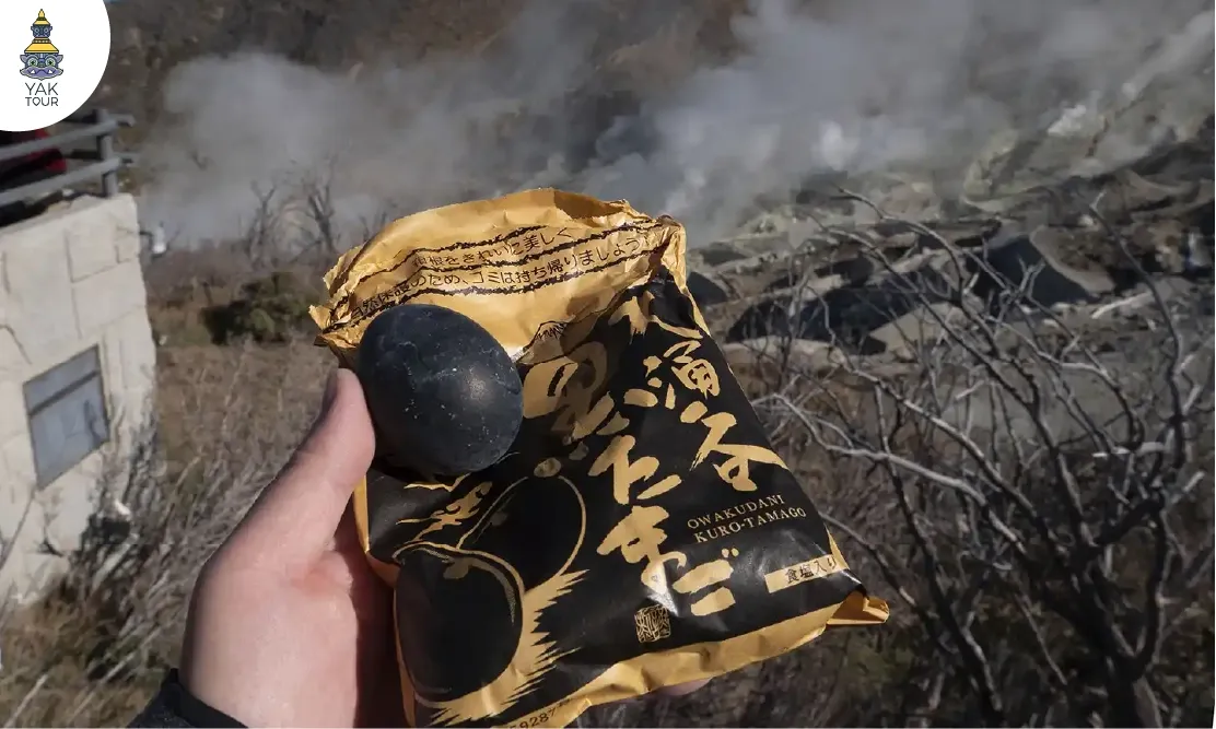 ลิ้มรสไข่ดำอายุยืนที่หุบเขาโอวาคุดานิ ประสบการณ์แปลกใหม่ในการเที่ยวญี่ปุ่น