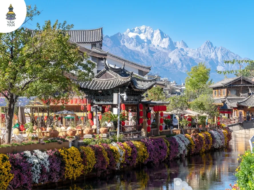 เมืองเก่าลี่เจียงที่สวยงามด้วยดอกไม้และฉากหลังภูเขาหิมะมังกรหยก