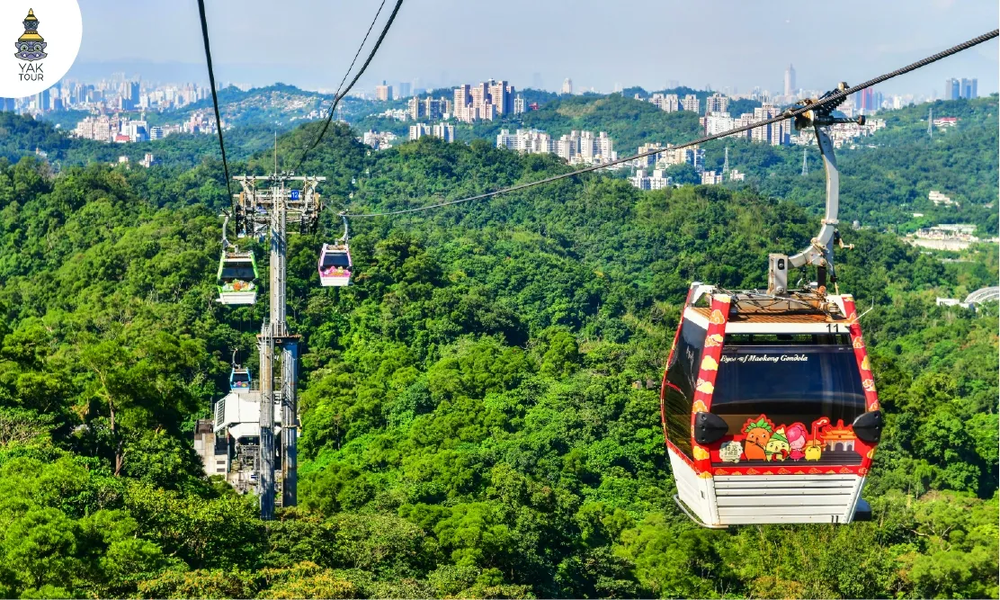 กระเช้าเมาคง (Maokong Gondola) ลอยฟ้าเหนือไร่ชาและวิวภูเขาเขียวขจี