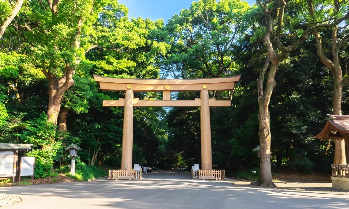 เสาโทริอิไม้ขนาดใหญ่ล้อมรอบด้วยอุโมงค์ต้นไม้สูงทึบในศาลเจ้าเมจิ