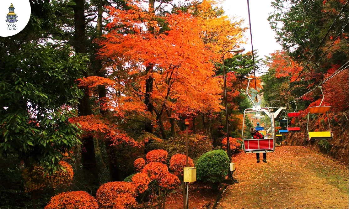 กระเช้าลอยฟ้าพานักท่องเที่ยวชมทิวทัศน์ธรรมชาติสีส้มแดงที่ภูเขาทาคาโอะ (Mount Takao) ช่วงฤดูใบไม้ร่วง