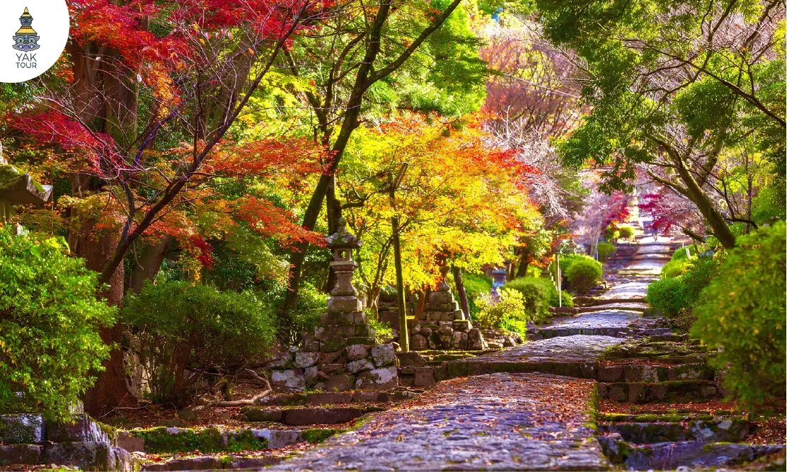 ทางเดินบันไดหินโบราณและโคมไฟหินท่ามกลางป่าเปลี่ยนสีที่ภูเขาฮิโกะ