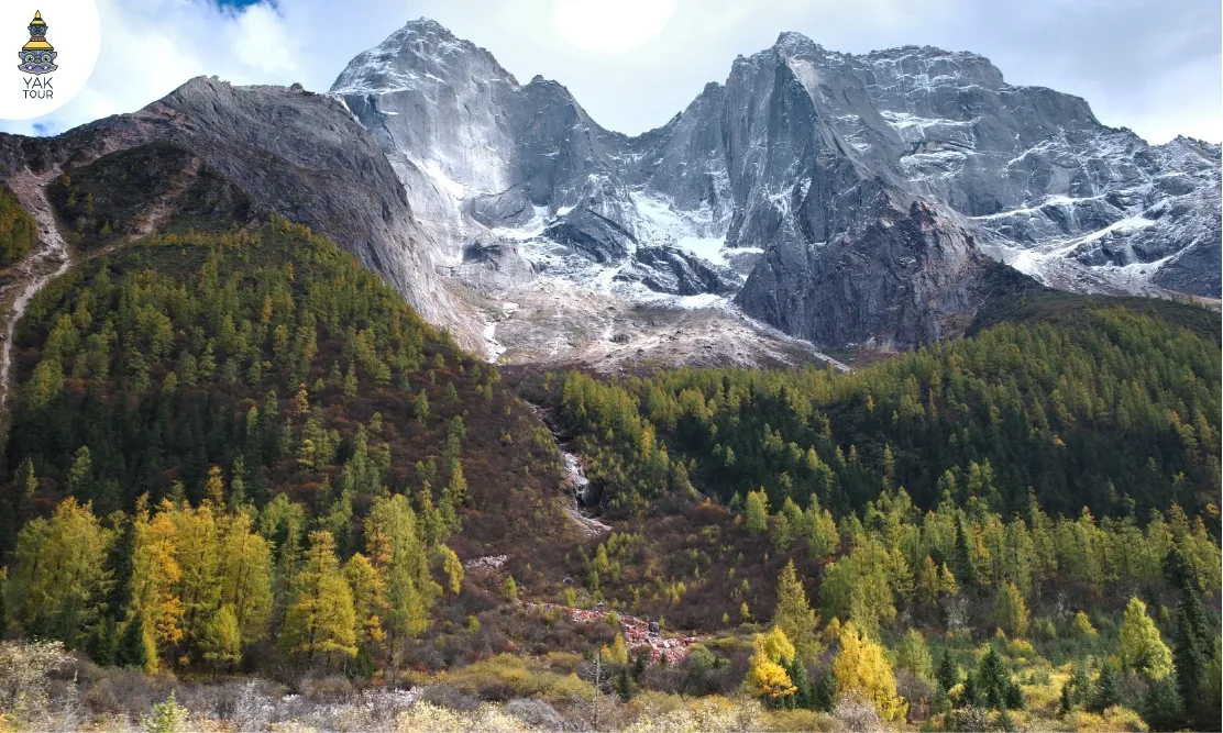 บรรยากาศหุบเขาในช่วงใบไม้เปลี่ยนสีสีทองอร่ามที่สี่ดรุณี