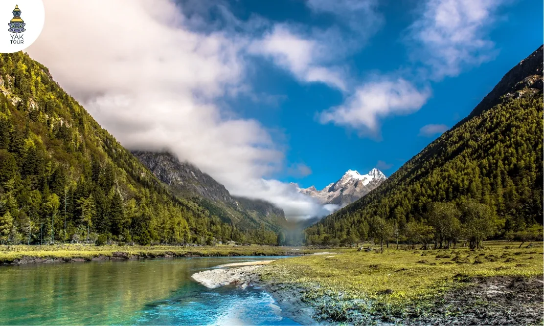 ทิวทัศน์ทุ่งหญ้าและลำธารใสฟีลยุโรปในอุทยานสี่ดรุณี