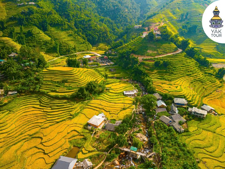 ทัศนียภาพอันกว้างใหญ่ของนาขั้นบันไดสีเหลืองทองในหุบเขาเมืองหัวช่วงฤดูเก็บเกี่ยว มีบ้านเรือนชาวเขาตั้งแทรกตัวอยู่ตามไหล่เขาและลำธารที่ไหลผ่านใจกลางหุบเขา