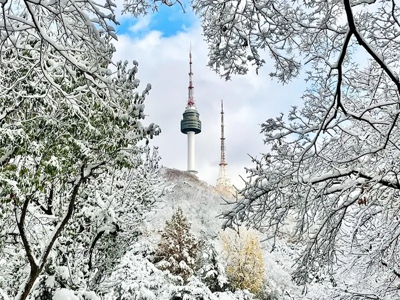 วิวหอคอย N Seoul Tower บนยอดเขานัมซานผ่านกิ่งไม้ที่ปกคลุมด้วยหิมะ