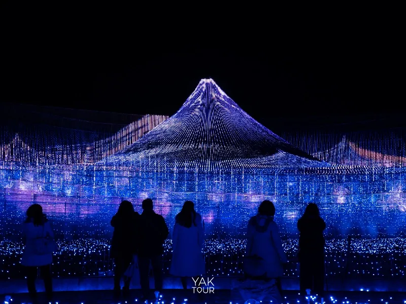 การแสดงไฟประดับสุดอลังการธีมภูเขาไฟฟูจิในงาน Nabana no sato Winter Illumination