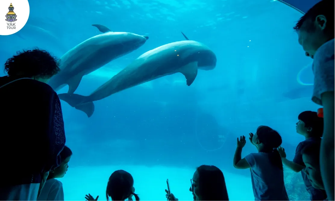 บรรยากาศภายในพิพิธภัณฑ์สัตว์น้ำนาโกย่า (Nagoya Port Aquarium)