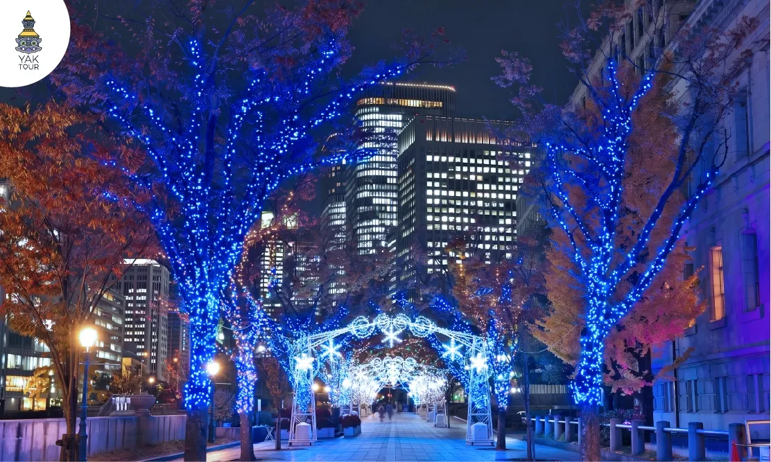 แสงไฟ Illumination สีน้ำเงินประดับบนต้นไม้เลียบแม่น้ำในสวนนากาโนะชิมะ