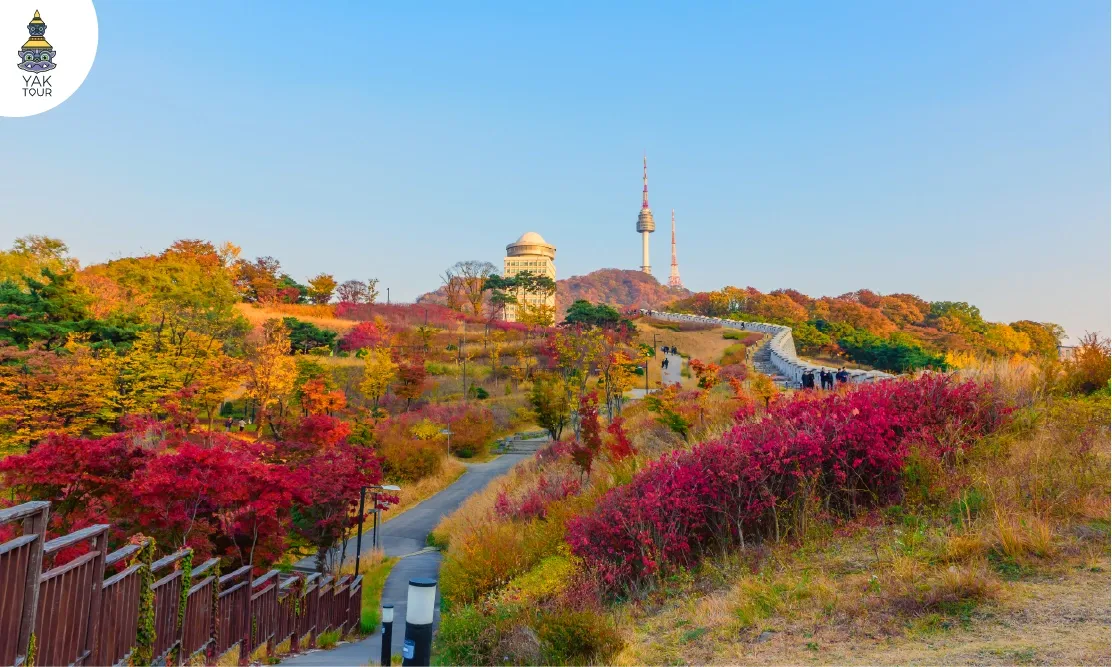 วิวหอคอยเอ็นโซลทาวเวอร์บนยอดเขาที่รายล้อมด้วยต้นไม้ผลัดสีในอุทยานนัมซานพาร์ค