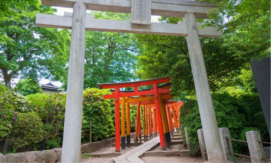 ทางเดินอุโมงค์เสาโทริอิสีแดงนับพันต้นที่ศาลเจ้าเนซุ