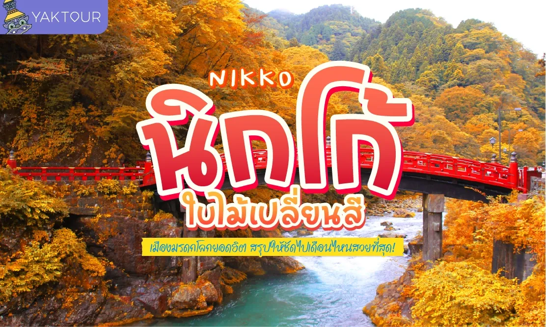 นิกโก้ ใบไม้เปลี่ยนสี เมืองมรดกโลกยอดฮิต สรุปให้ชัดไปเดือนไหนสวยที่สุด!