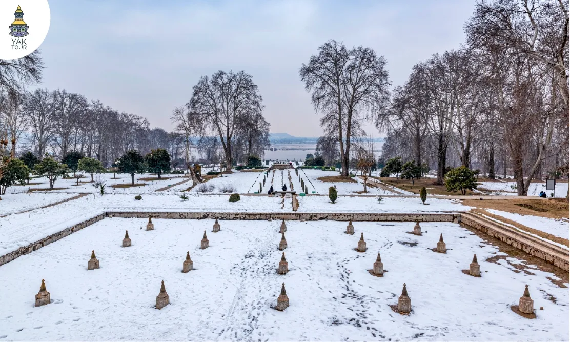 วิวสวนนิชาทสวนโมกุลในศรีนาการ์-Nishat-Bagh-Srinagar-ท่ามกลางหิมะ