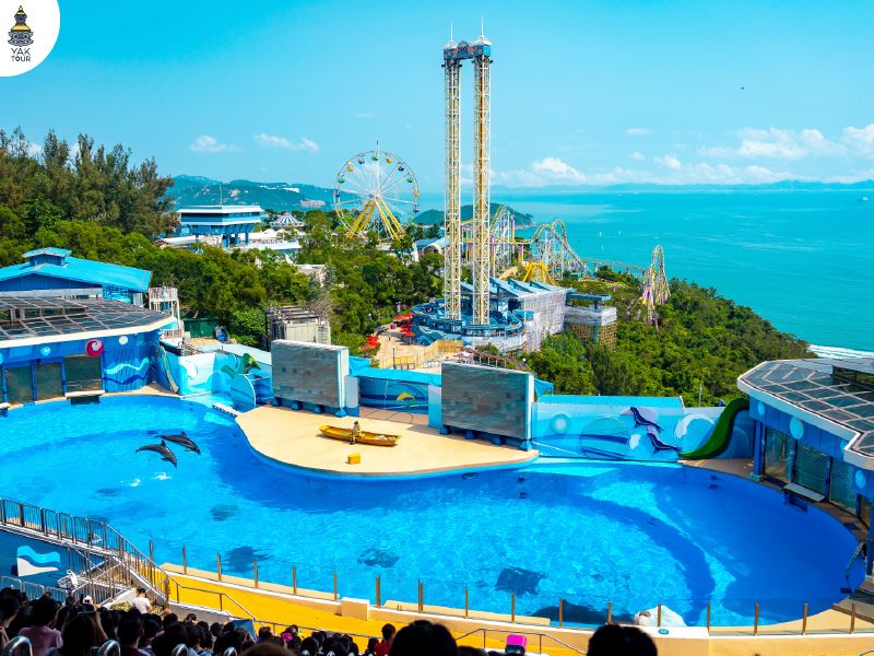 วิวมุมสูงของสวนสนุกริมทะเล Ocean Park Hong Kong ที่มีการแสดงโชว์สัตว์น้ำแสนรู้ พร้อมเครื่องเล่นหวาดเสียวและชิงช้าสวรรค์บนยอดเขา