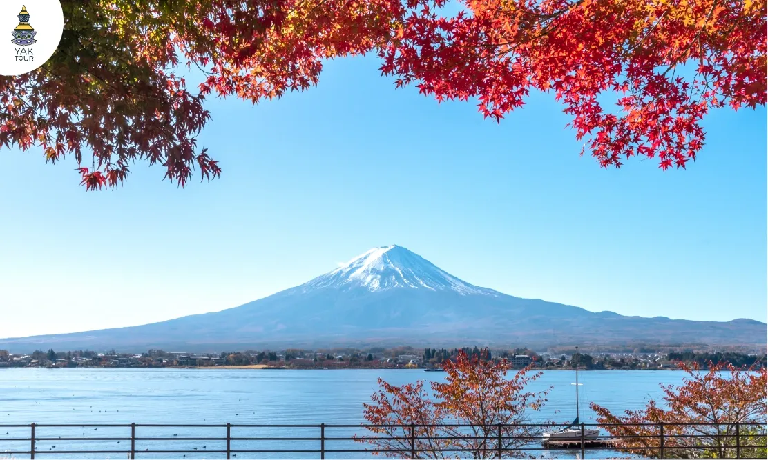 ชมวิวใบไม้เปลี่ยนสีที่สวนโออิชิริมทะเลสาบพร้อมฉากหลังภูเขาไฟฟูจิ