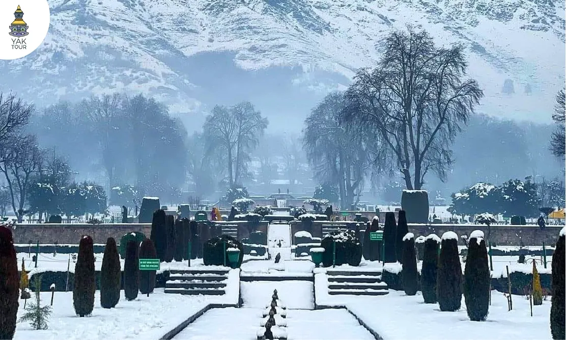 บรรยากาศเมืองเก่าศรีนาคาและสวนสวยท่ามกลางหิมะ-Srinagar-Kashmir